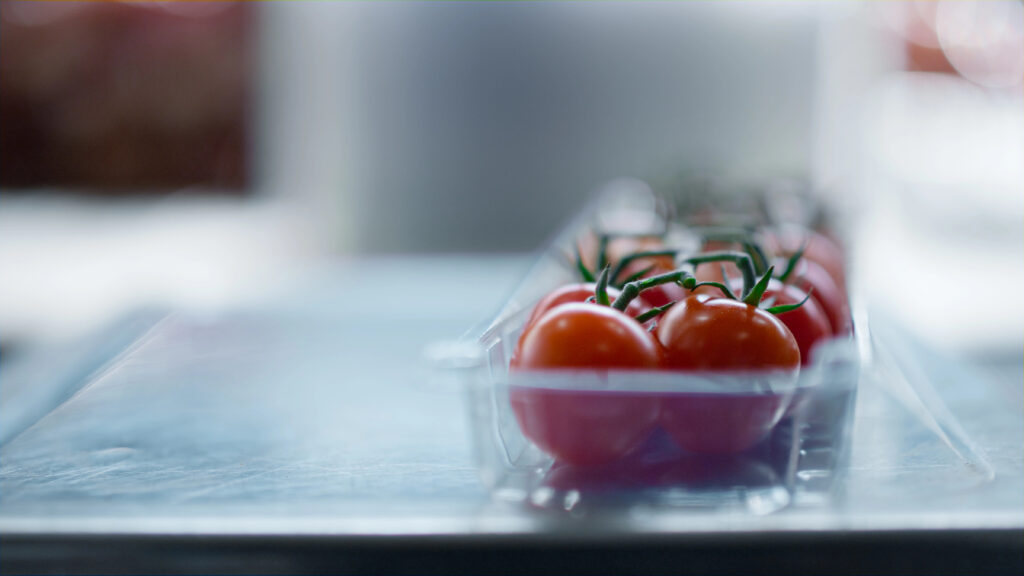 tomatoes in plastic packaging