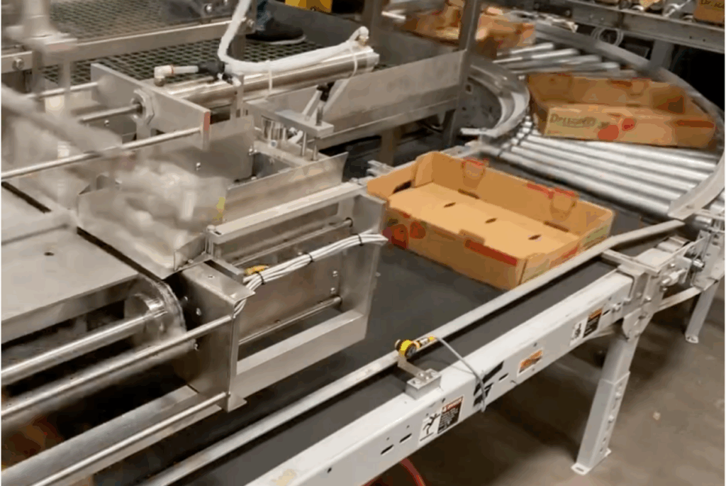 Conveyor on clamshell denester